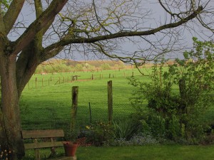 Après-midi couleurs d'orage