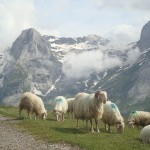 Col d'Aubisque