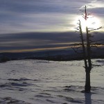 Mont d'or