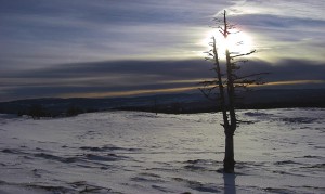 Mont d'or