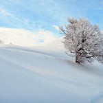 Méditation à Issarbe (64)