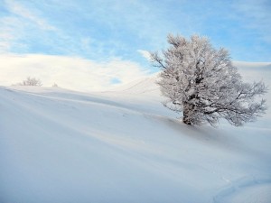 Méditation à Issarbe (64)