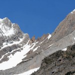 Pineta