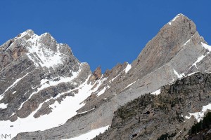 Pineta