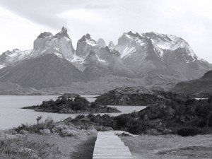 Tours de paine - Patagonie