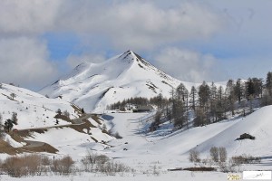 Vars
