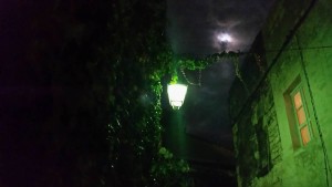 Clair de lune Arlésien