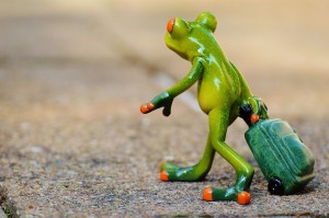 Grenouille voyage by Alexas